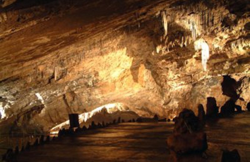 Ardennen Camping Bertrix - Grotten van Han