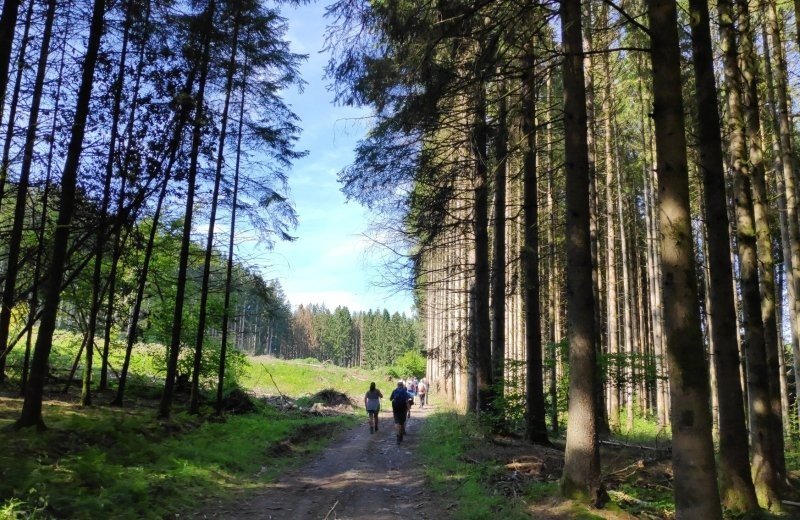 Wandelen camping bertrix